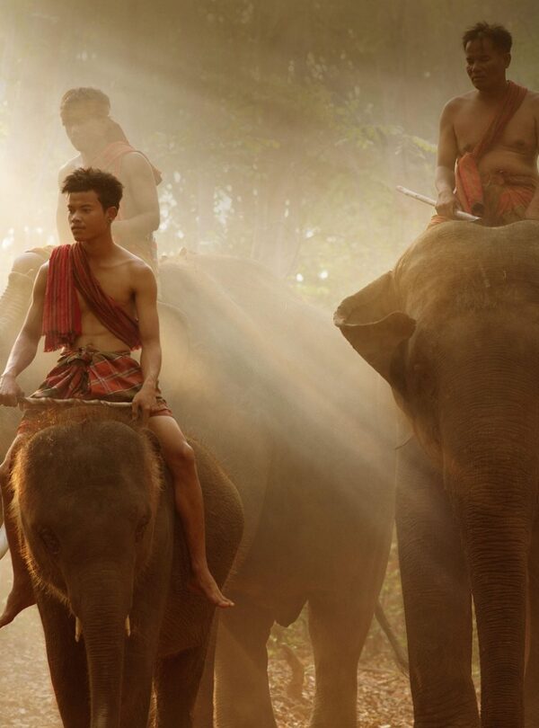 stunning travel destination featuring nature, adventure, and cultural experiences 