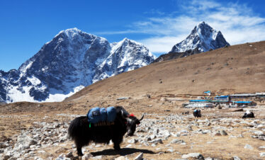 inspiring travel destination featuring adventure, scenic landscapes, and holiday experiences