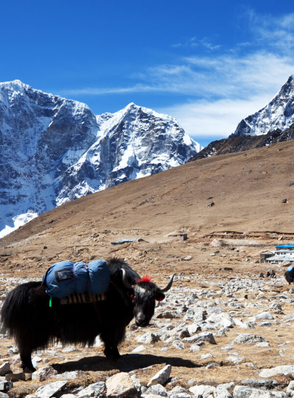 inspiring travel destination featuring adventure, scenic landscapes, and holiday experiences